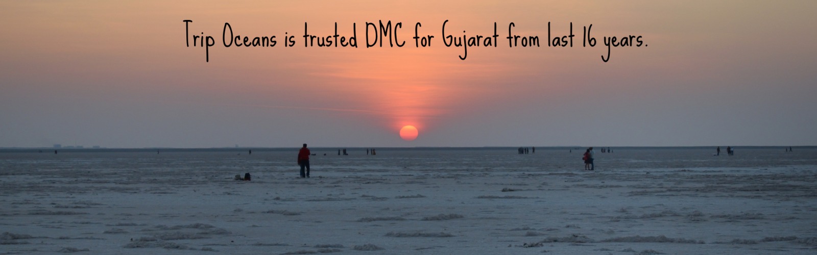 Welcome To Trip Oceans