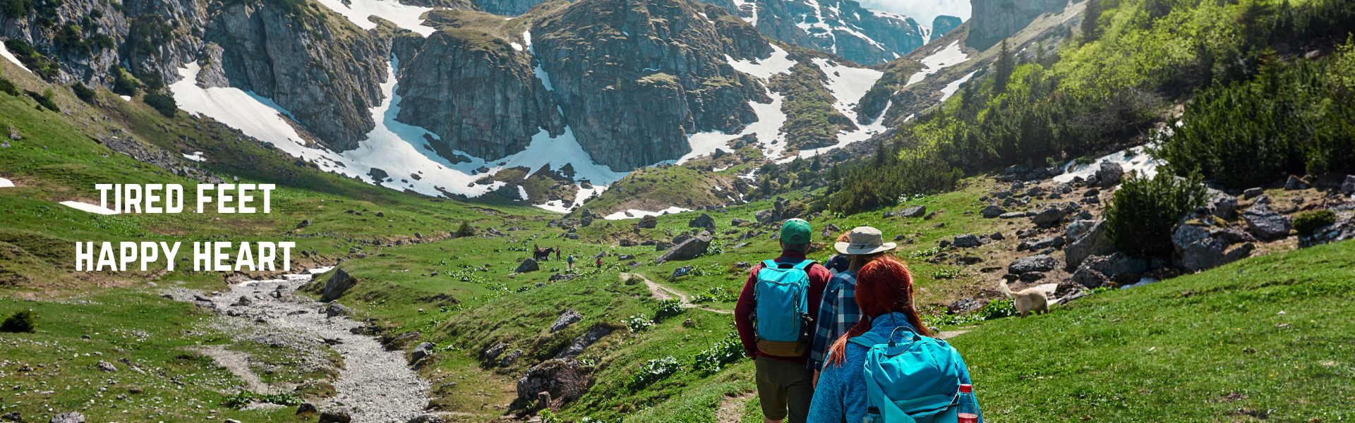 Welcome To Trip Oceans