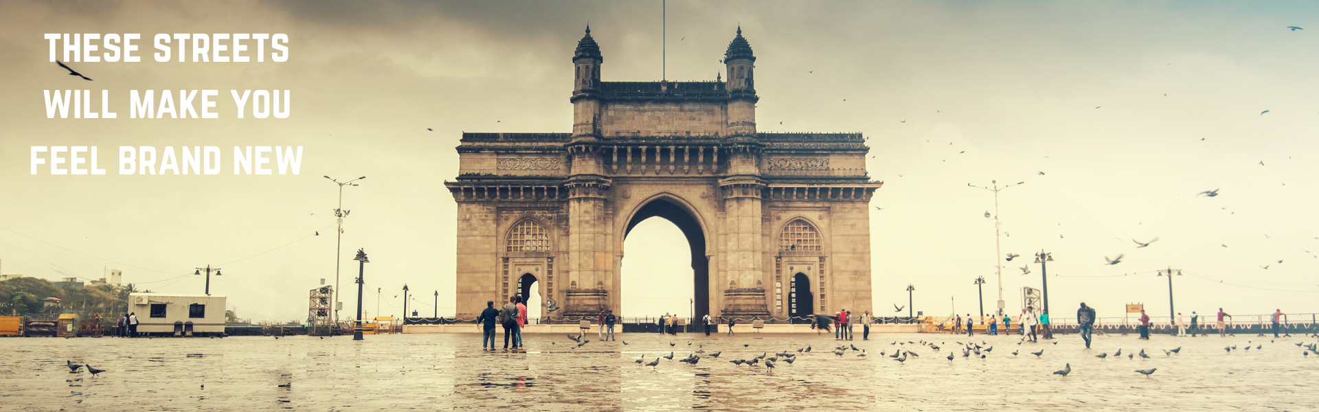 Welcome To Trip Oceans